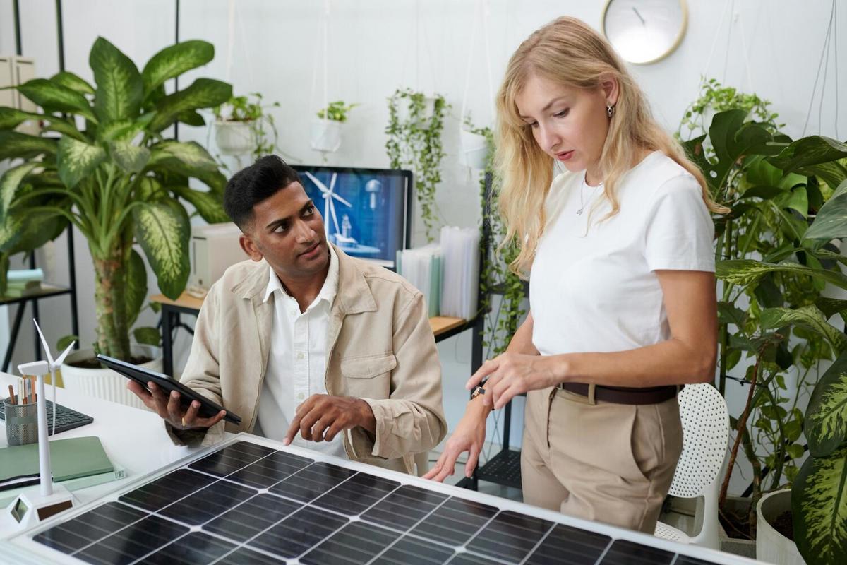 Renewable Energy Policies: Global Perspectives and Challenges